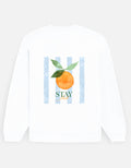 Back_2_c_1.jpg