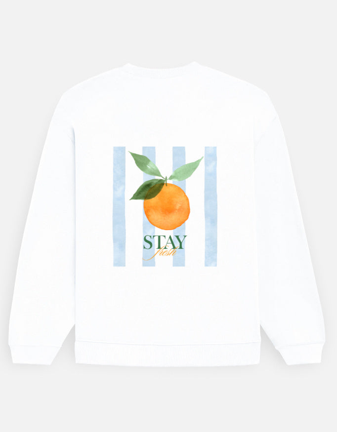Back_2_c_1.jpg